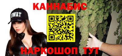 сатива Абакан