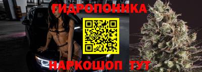 бошки Абинск