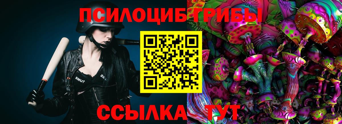 Псилоцибиновые грибы прущие грибы  Вход с VPN  Алатырь 